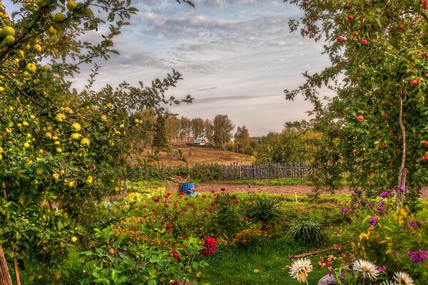 Paisaje de Jardín letnegg con muchas plantas