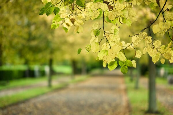 Herbst nun lass uns die Blätter fragen, wo er ist Mai