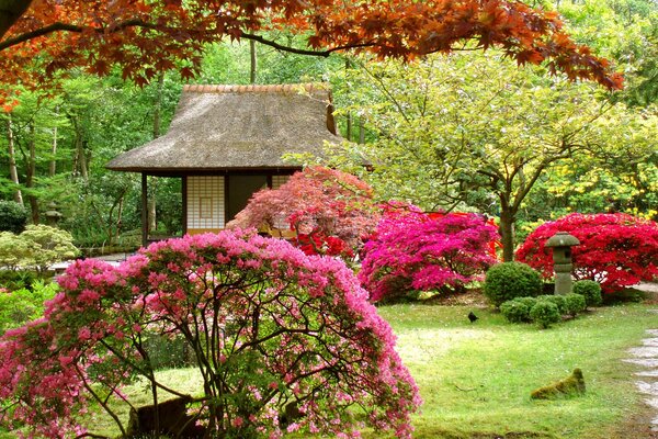 Jardin japonais floral chic