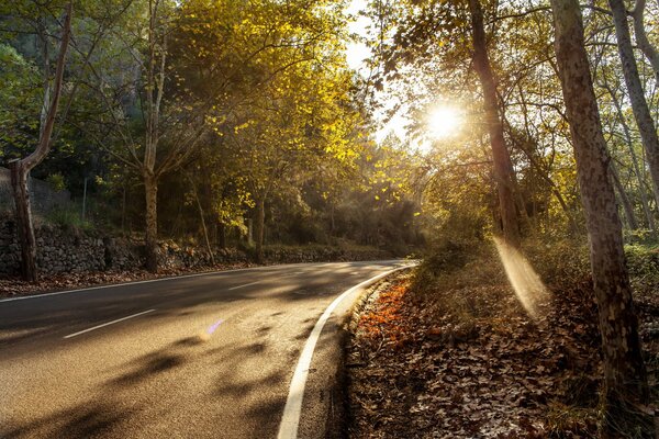 Camino de otoño con un hermoso paisaje