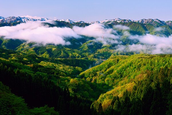 Spring morning and fog in the mountains of Japan