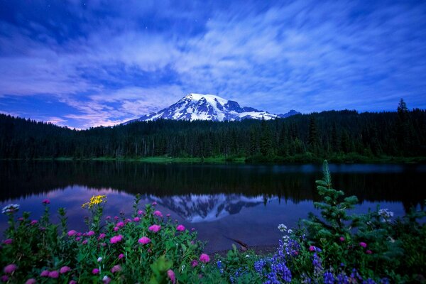 Lac forestier, fleurs sauvages avec la montagne sur fond