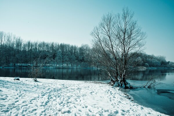 Winter lake with trees in time for snow