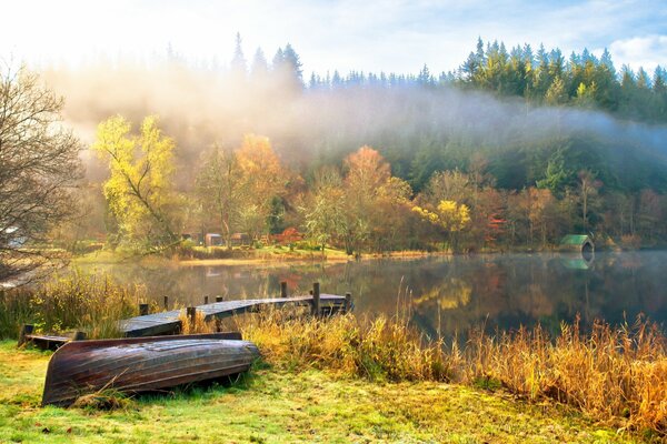 Paesaggio autunnale in riva al lago