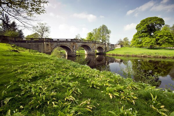 River bridge grass landscape