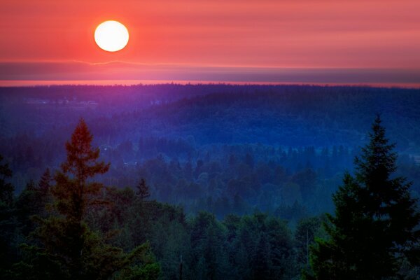 Lune sur paysage de forêt et de montagne