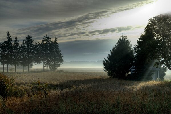 Morning in the village. Landscape from the field