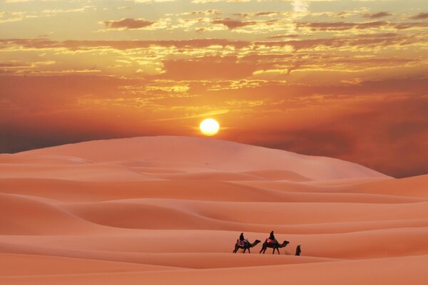 Caravane dans le désert au coucher du soleil