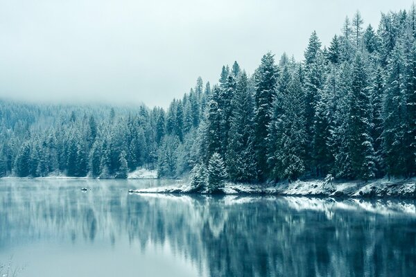 Forêts de la Colombie-Britannique dans la rivière Kootenay