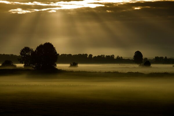 The rays of the sun descend into the fog