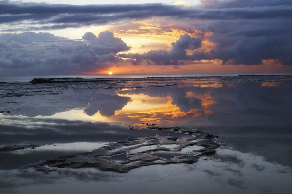 Morning calculation ocean sand shore