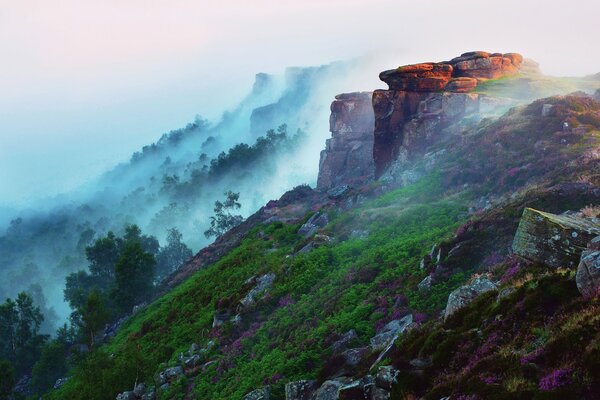 Morgen in den Bergen, Nebel am Hang