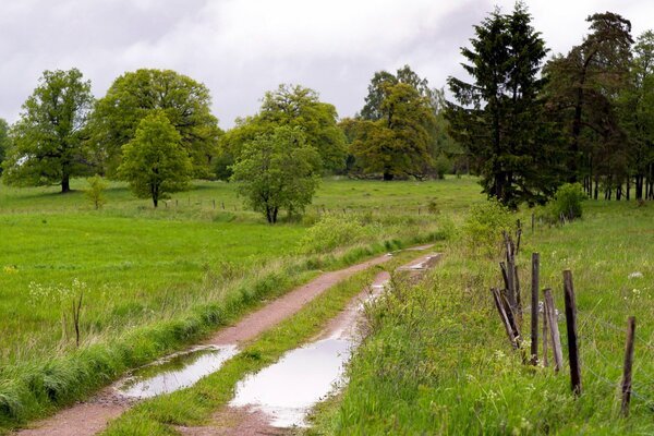 Okolicę wsi-pola i zagrody