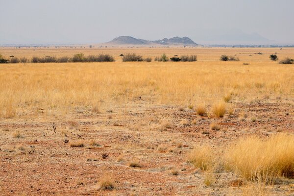 Deserto con vista sugli altopiani