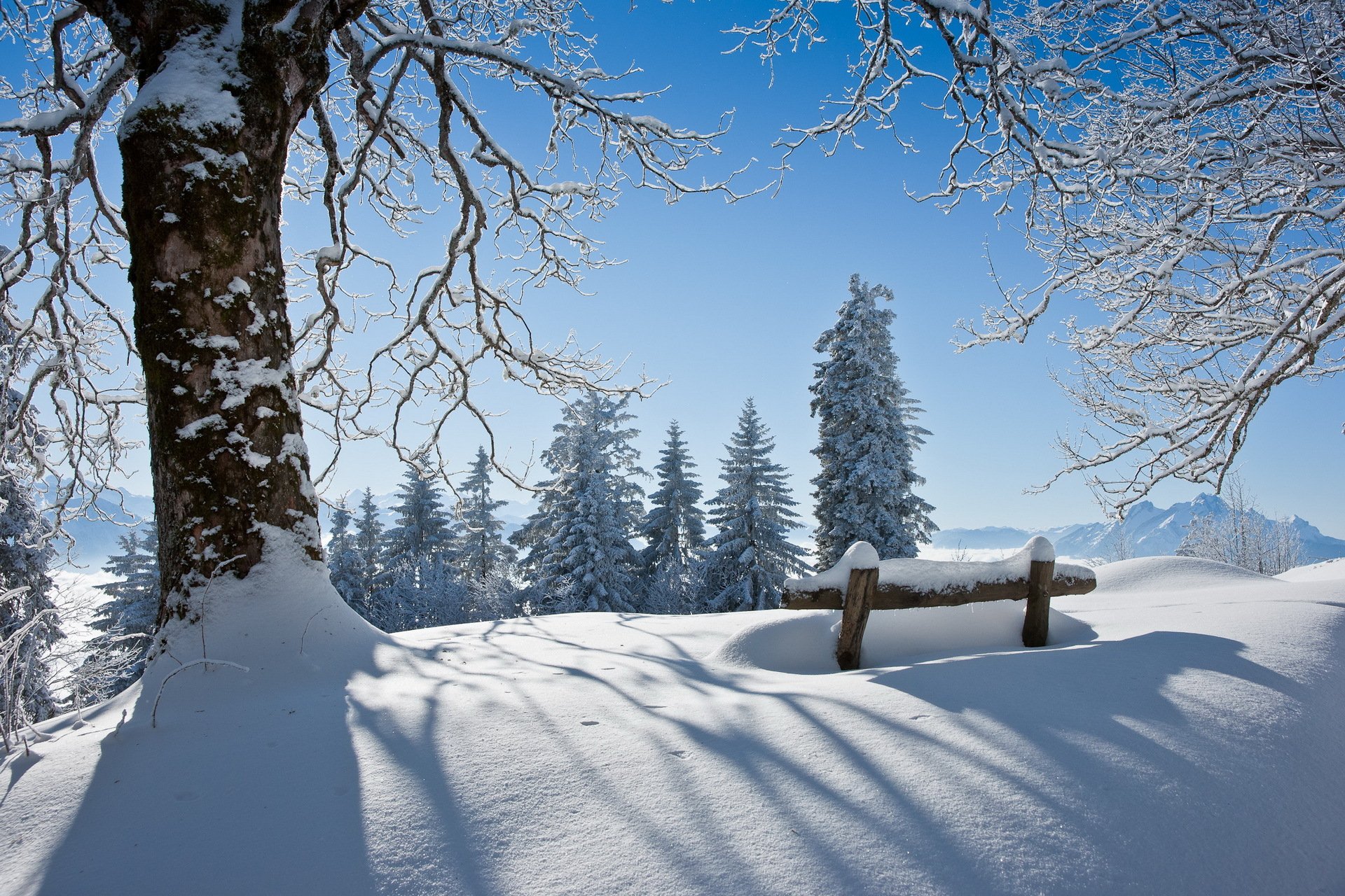 winter baum bank schnee landschaft schönheit