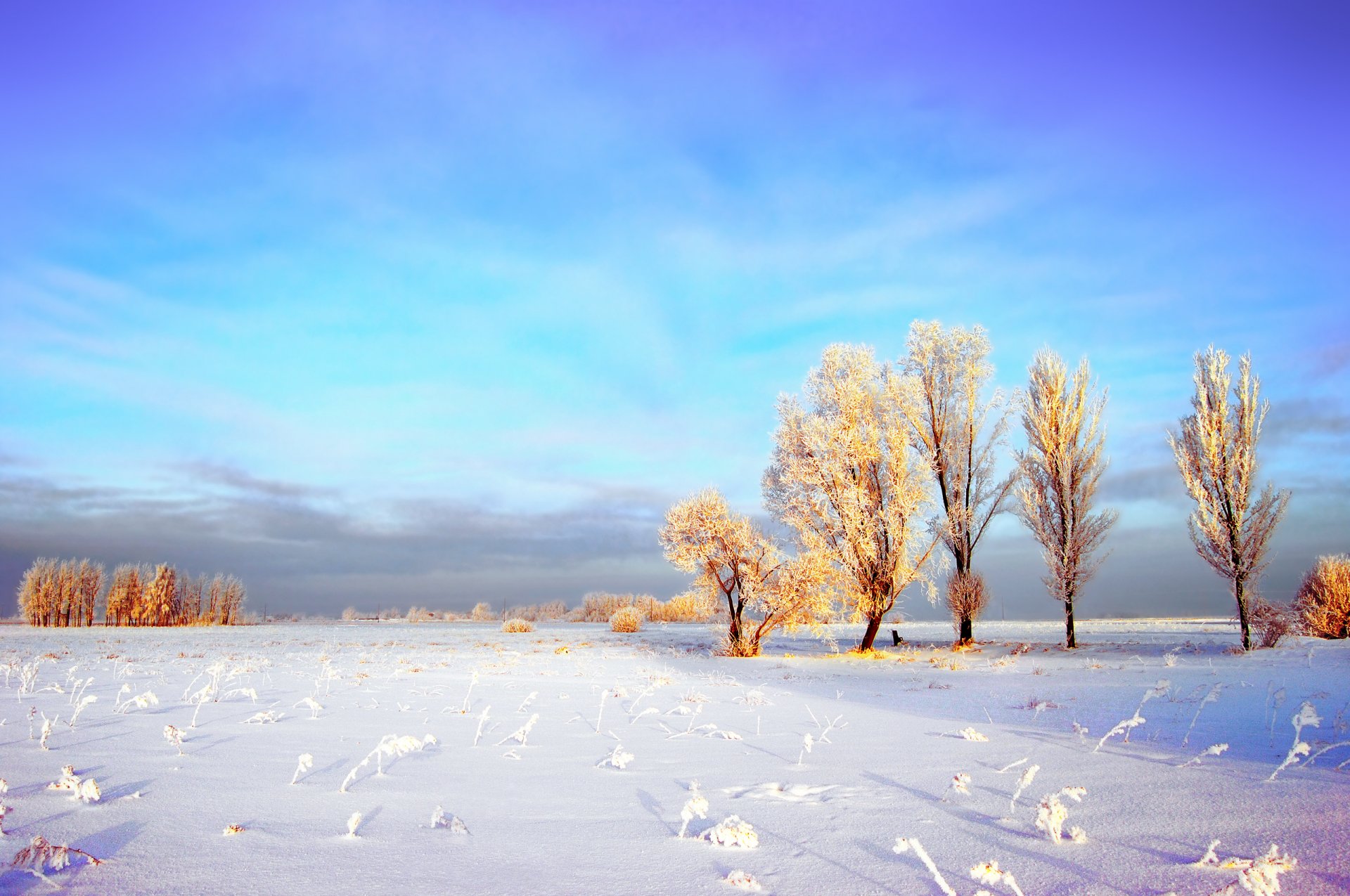 winter sky clouds the field snow tree frost