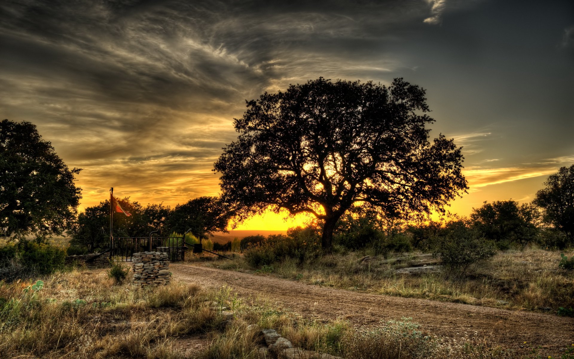 coucher de soleil route arbre paysage