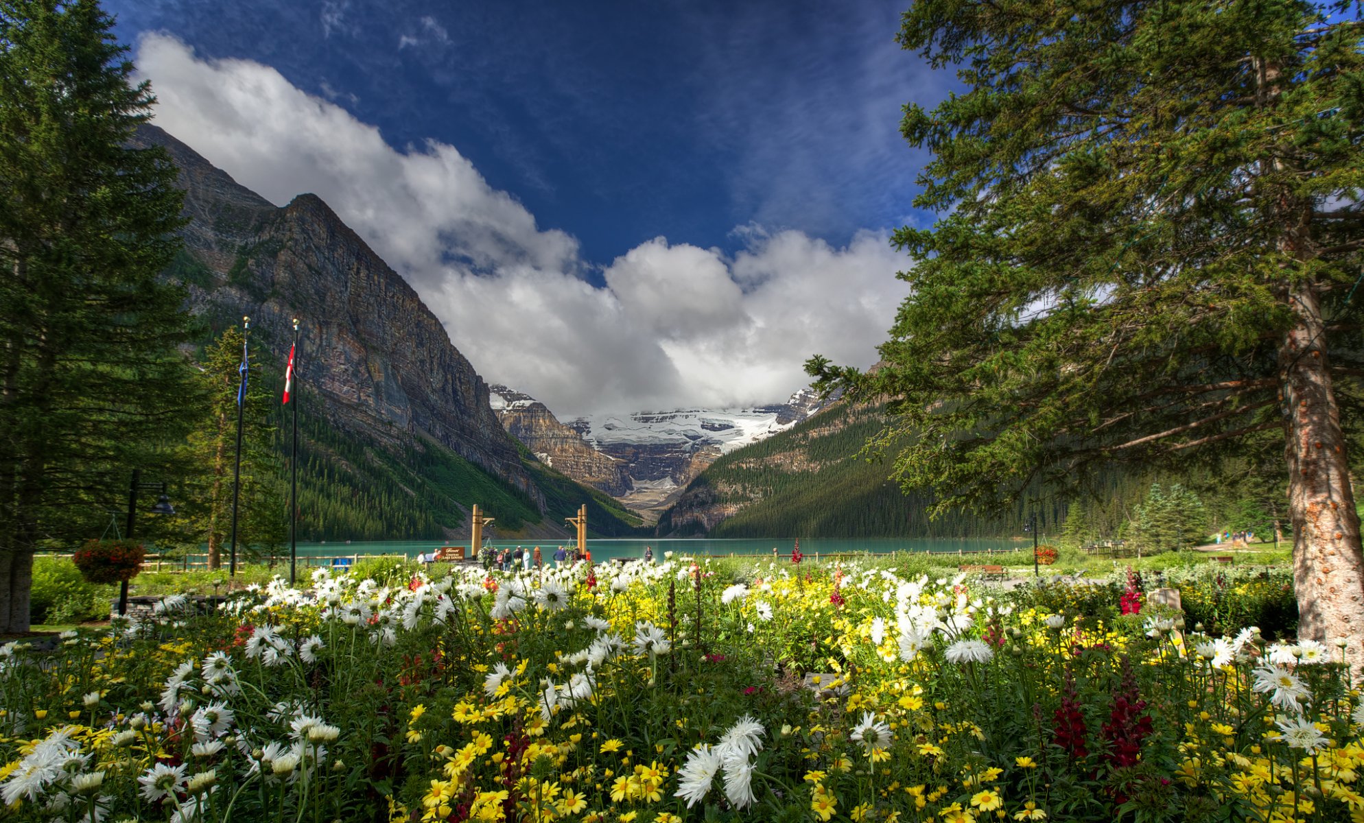 lake louise banff national park kanada berge see blumen bäume natur