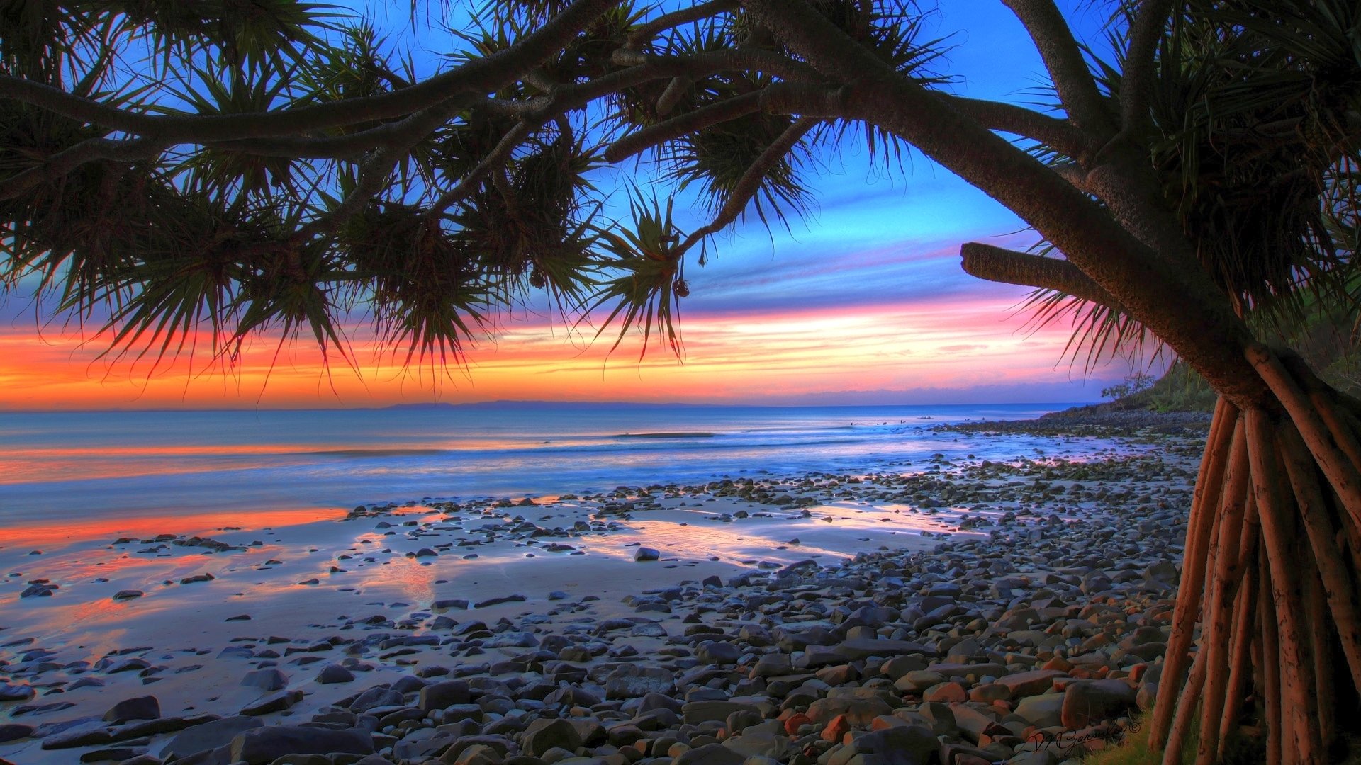 coast tree palma sand stones waves beach sea ocean horizon sky clouds sunset