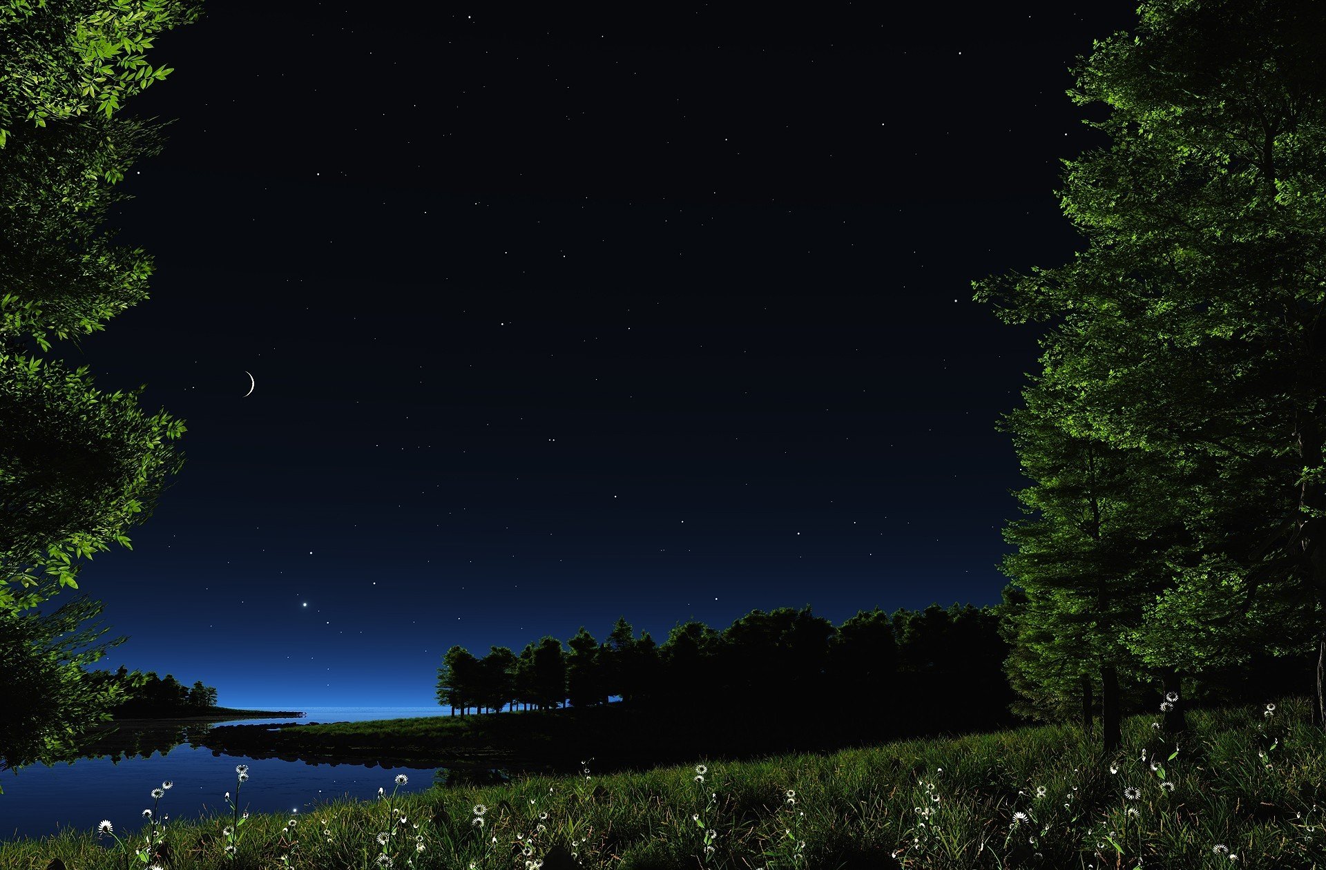 paisaje naturaleza noche cielo estrellas luna hierba vegetación plantas margaritas flores agua río lago estanque