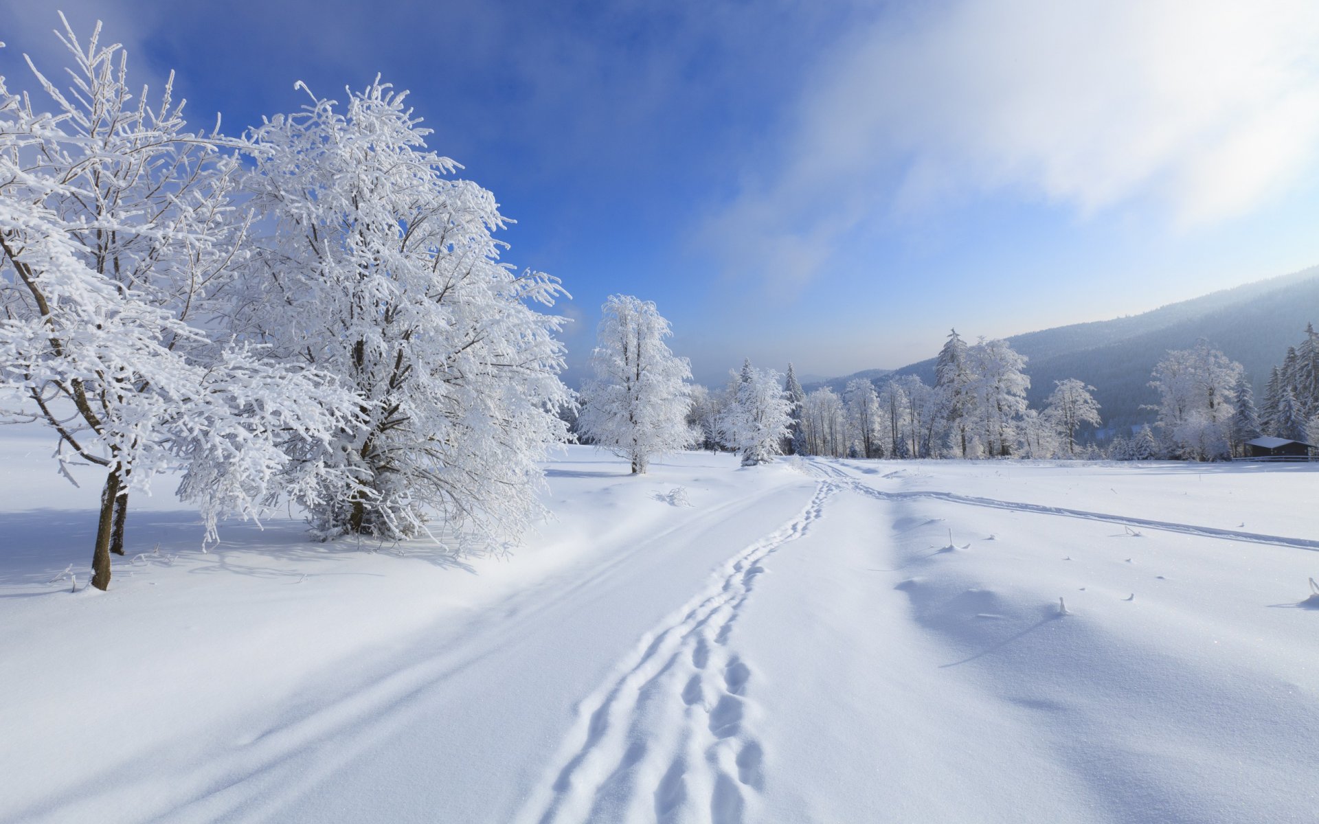 natura krajobraz śnieg zima góry niebo chmury drzewa