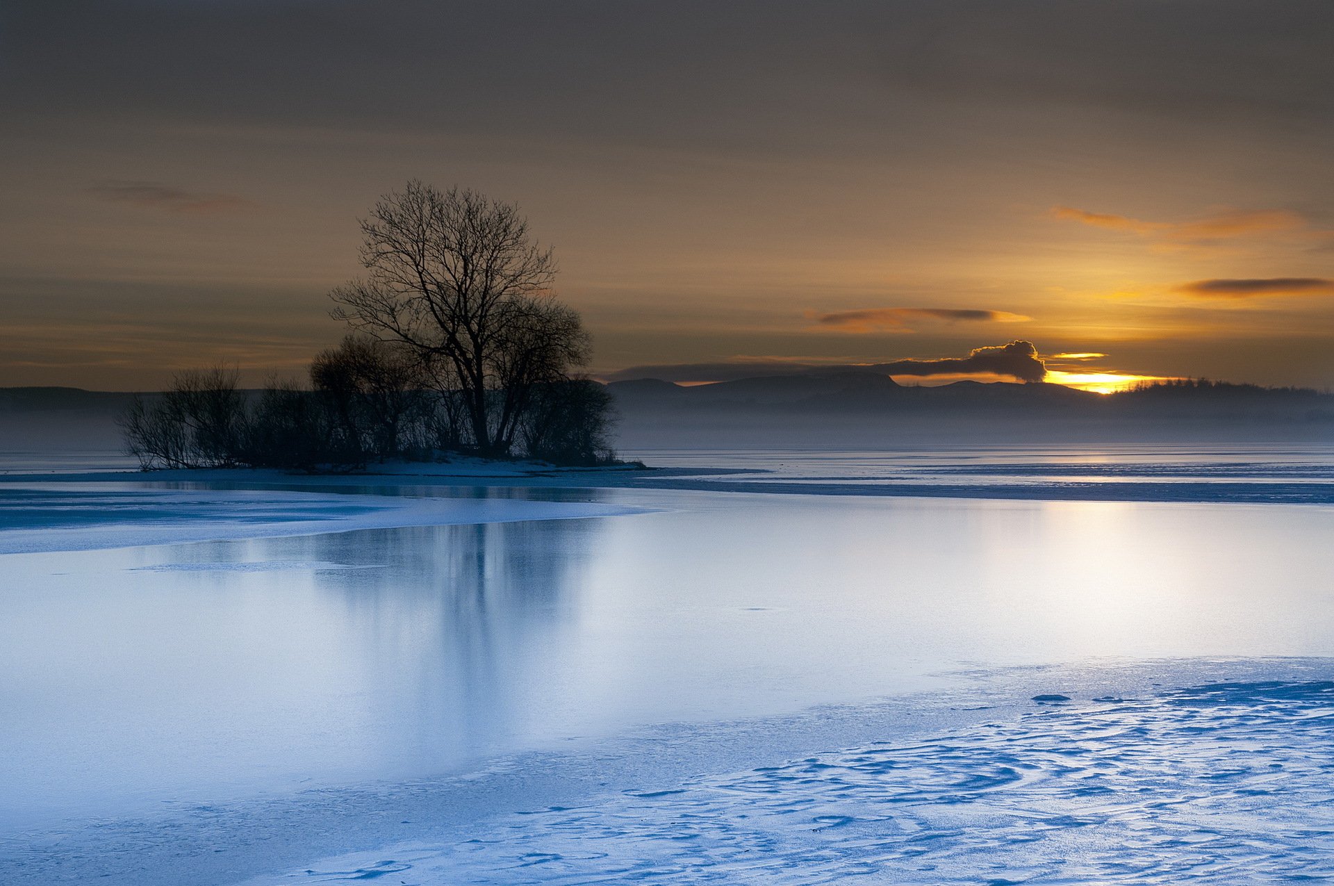 lake tree sunset landscape