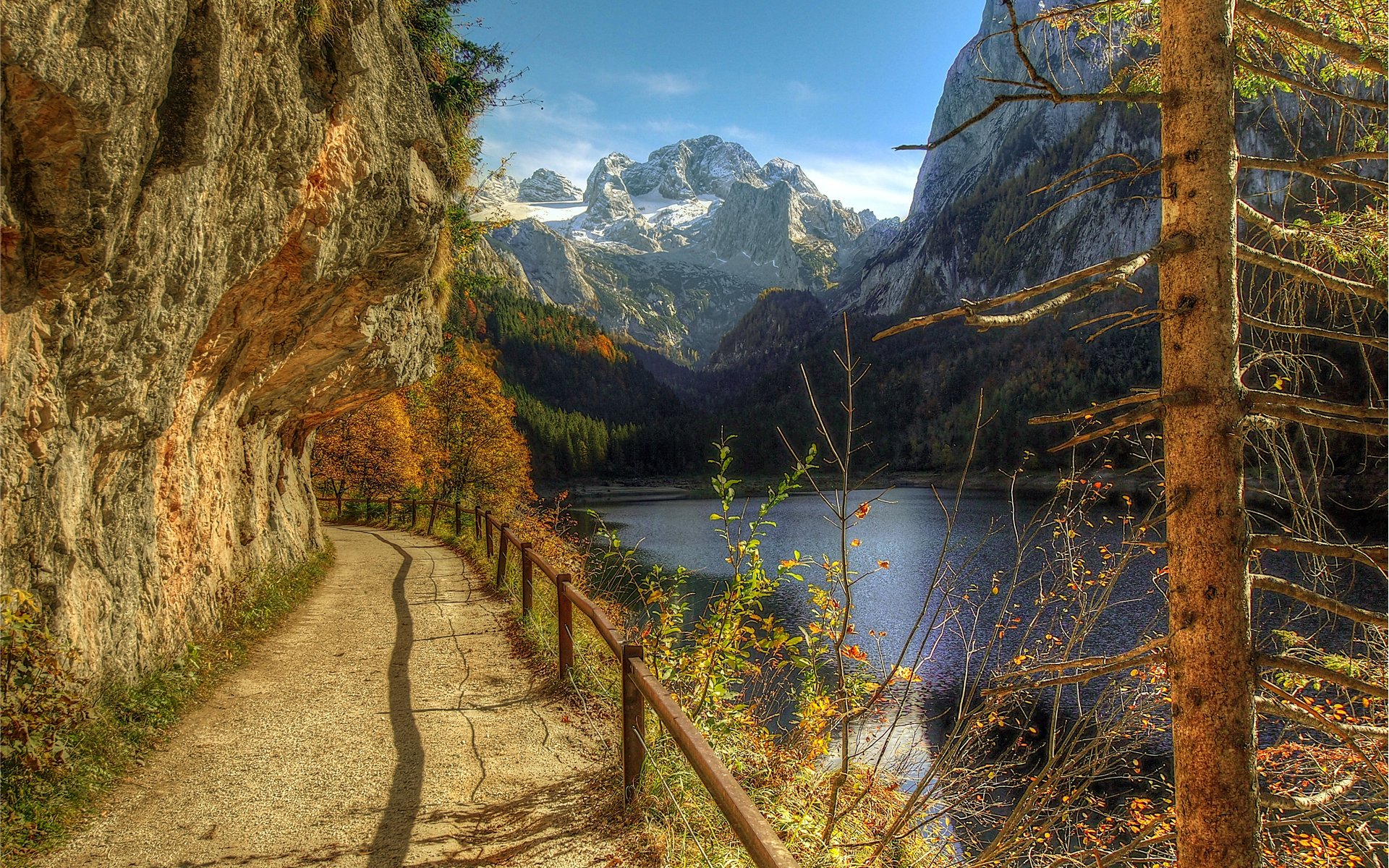 autumn broken tree mountain hills river fence handrail