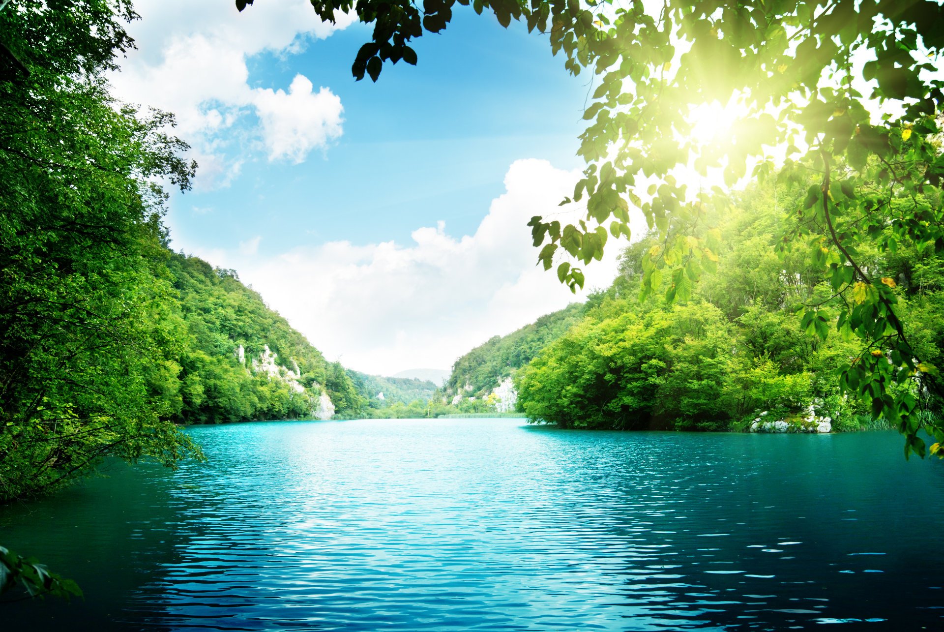 lago alberi foresta profonda mare cielo nuvole bella natura paesaggio fitta foresta luce del sole