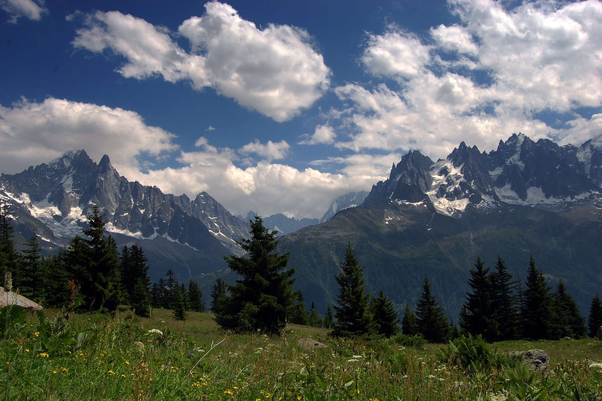 alpen sommer berge gipfel wiesen gras blumen wald himmel wolken