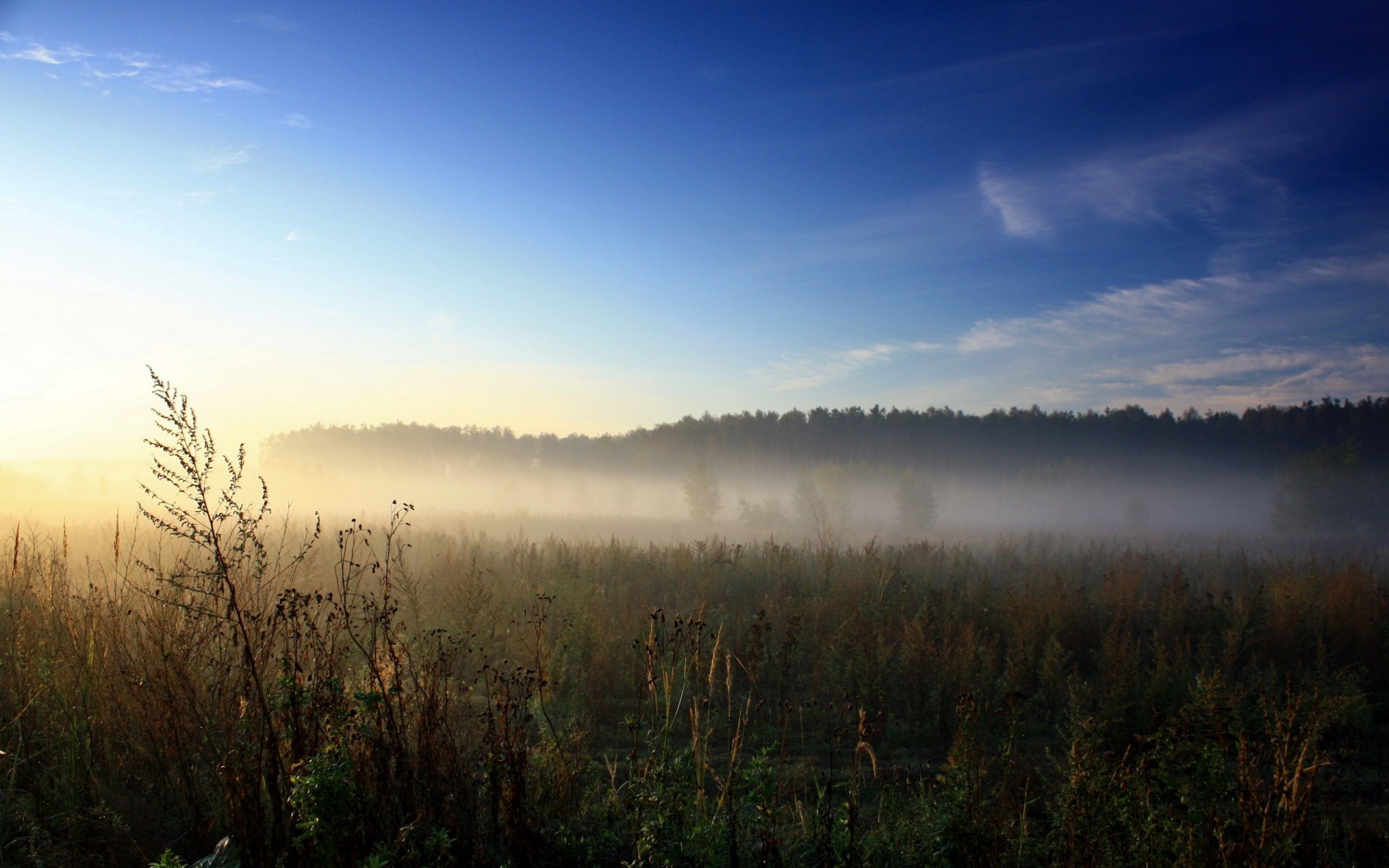 the field plain the distance sky grass green vegetation dawn nature light rays fog morning