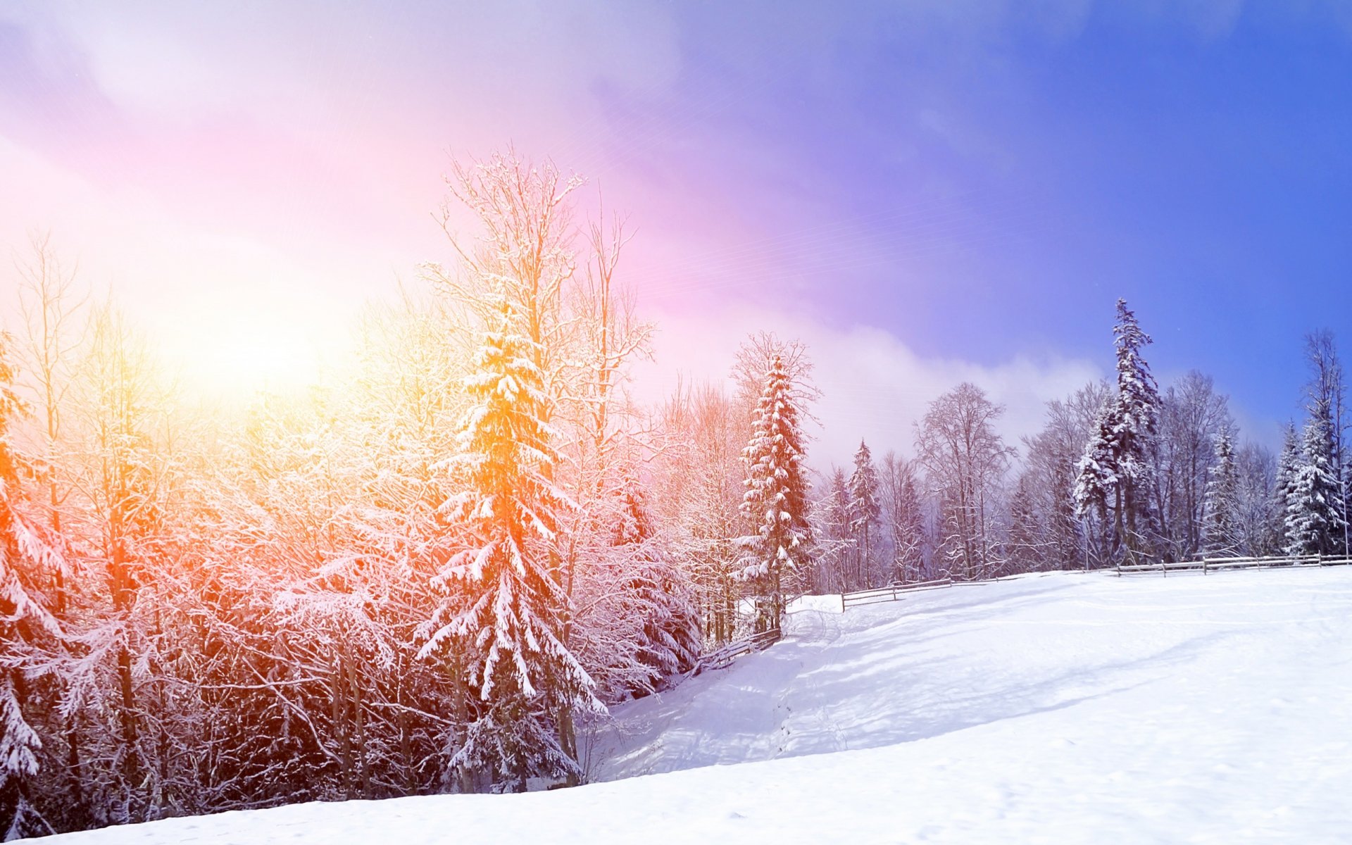 natur landschaft bäume winter schnee berge