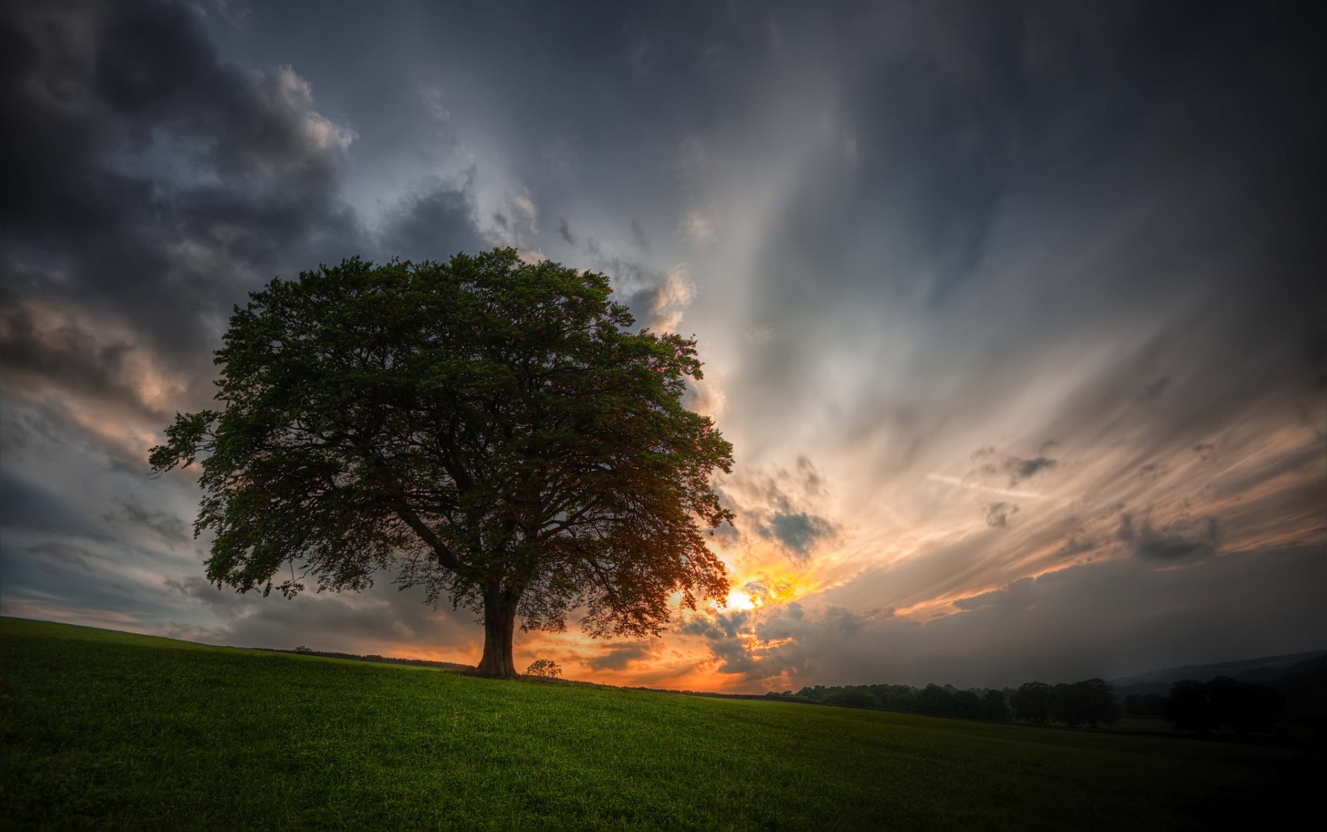 ciel coucher de soleil arbre champ