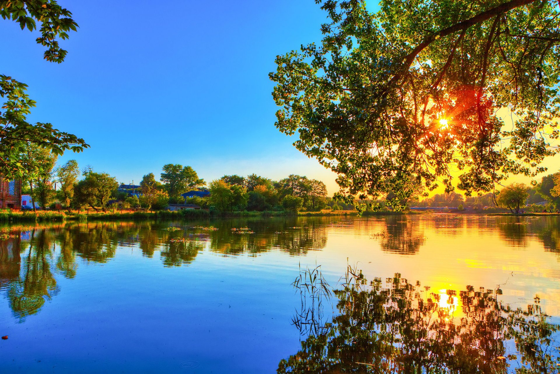 river water surface reflection forest tree nature beach sun light rays branches spring heat blue sky