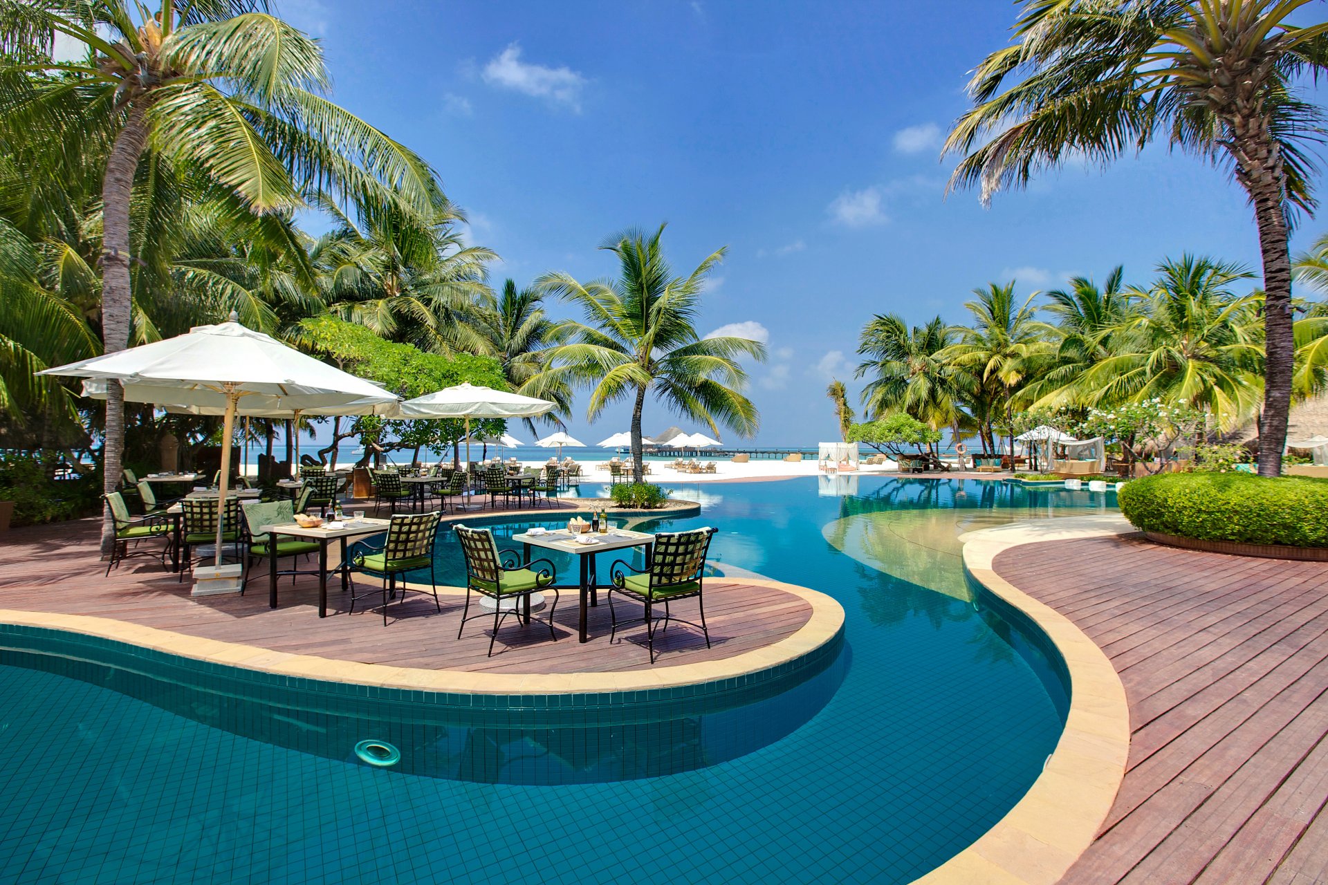 maldive tavolo piscina sedie a sdraio palme alberi natura