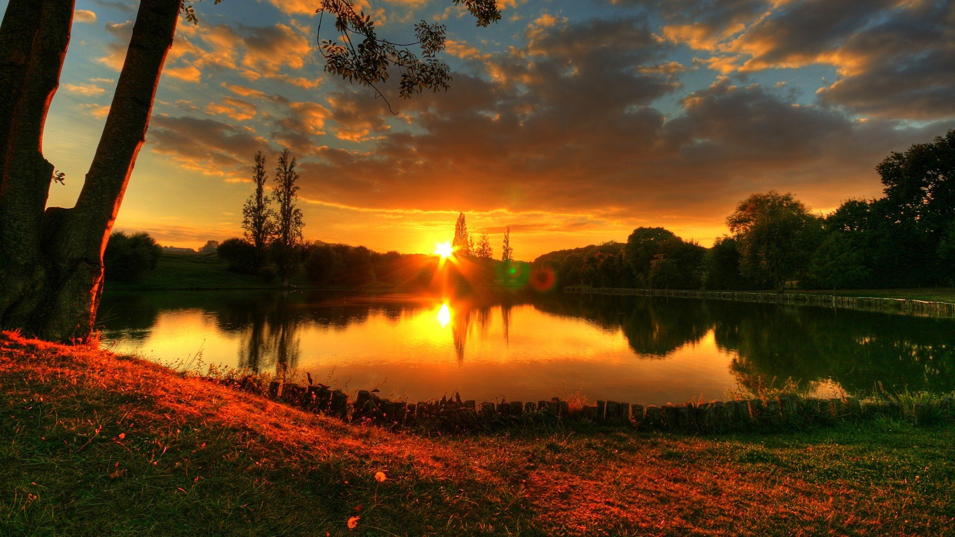 estate natura lago tramonto alberi