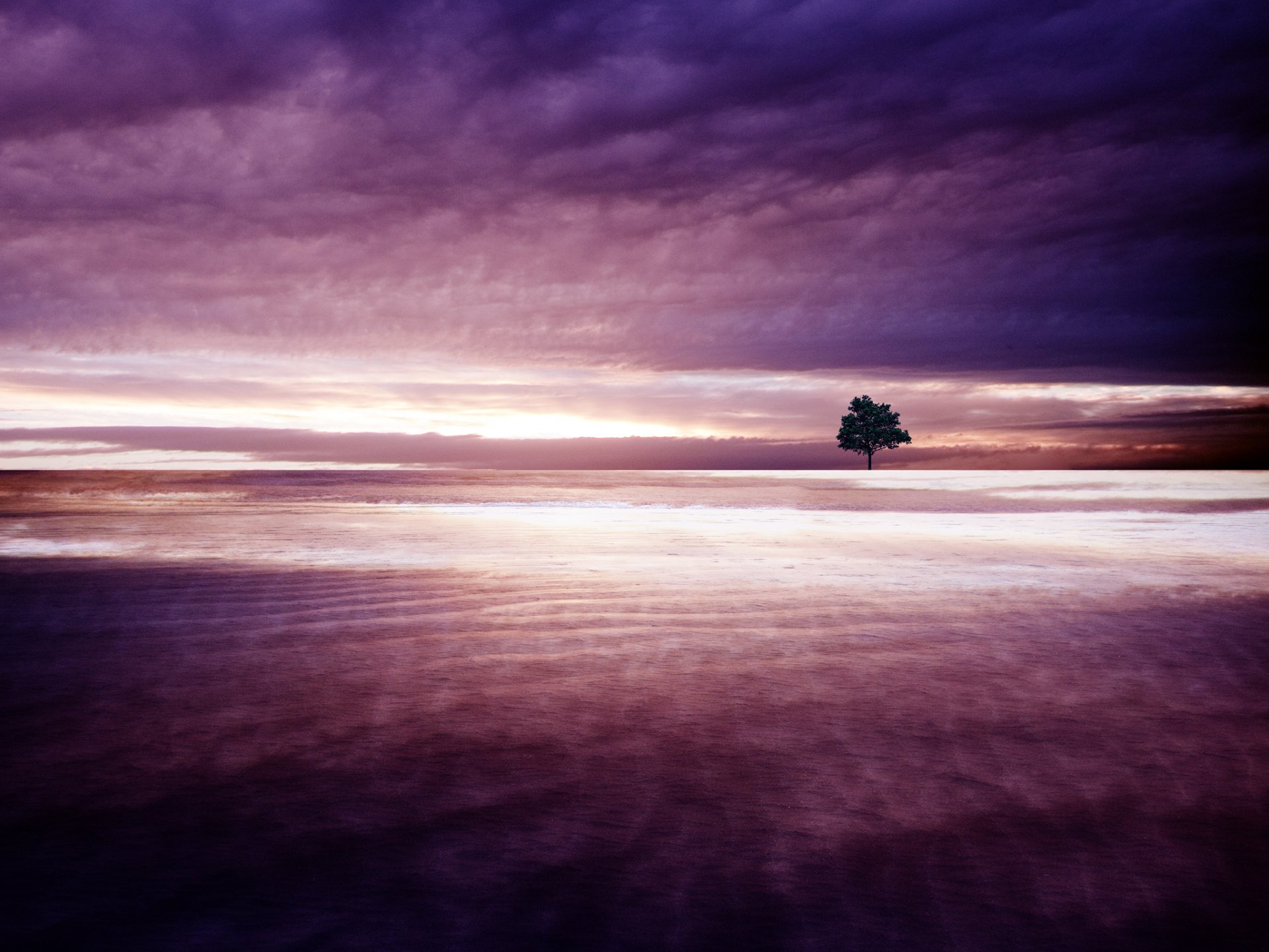 arbre ciel nuages