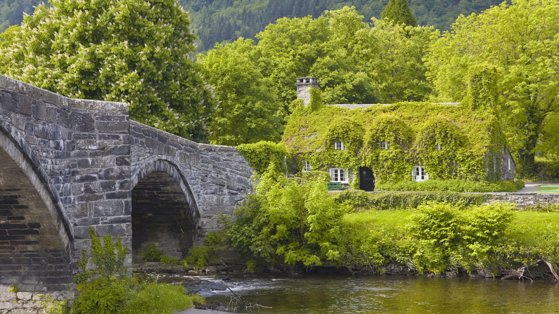 meraviglioso giorno ponte fiume casa sulla riva tutto nel verde