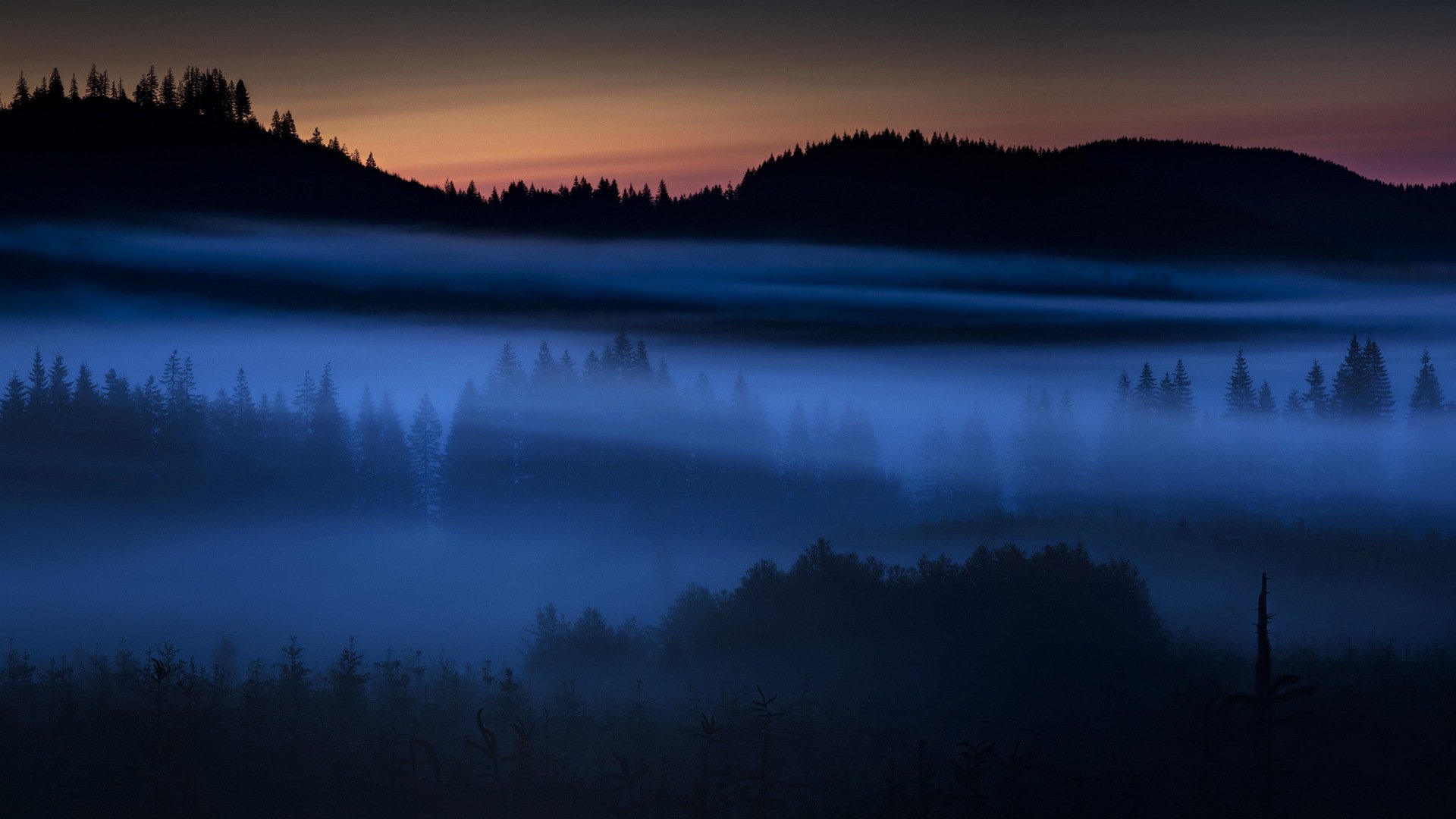 nacht feld nebel landschaft