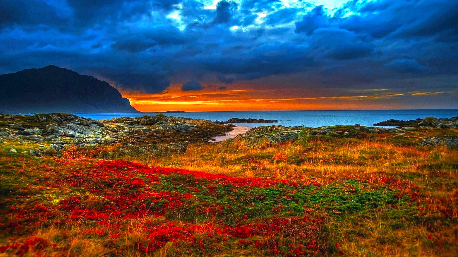 costa costa montañas rocas hierba flores océano horizonte cielo nubes amanecer puesta del sol