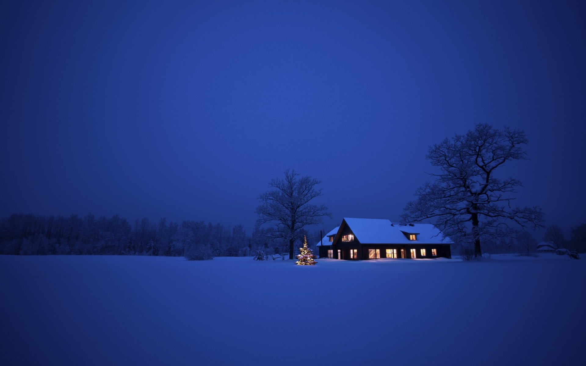 natur landschaft schnee bäume winter haus nacht weihnachten neujahr