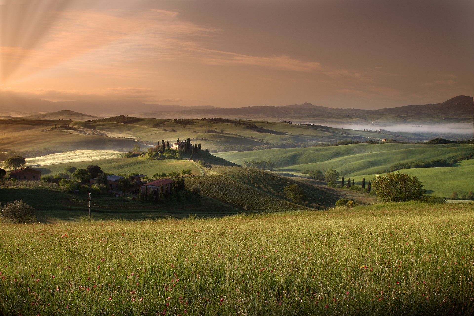 tuscany of the field summer sky