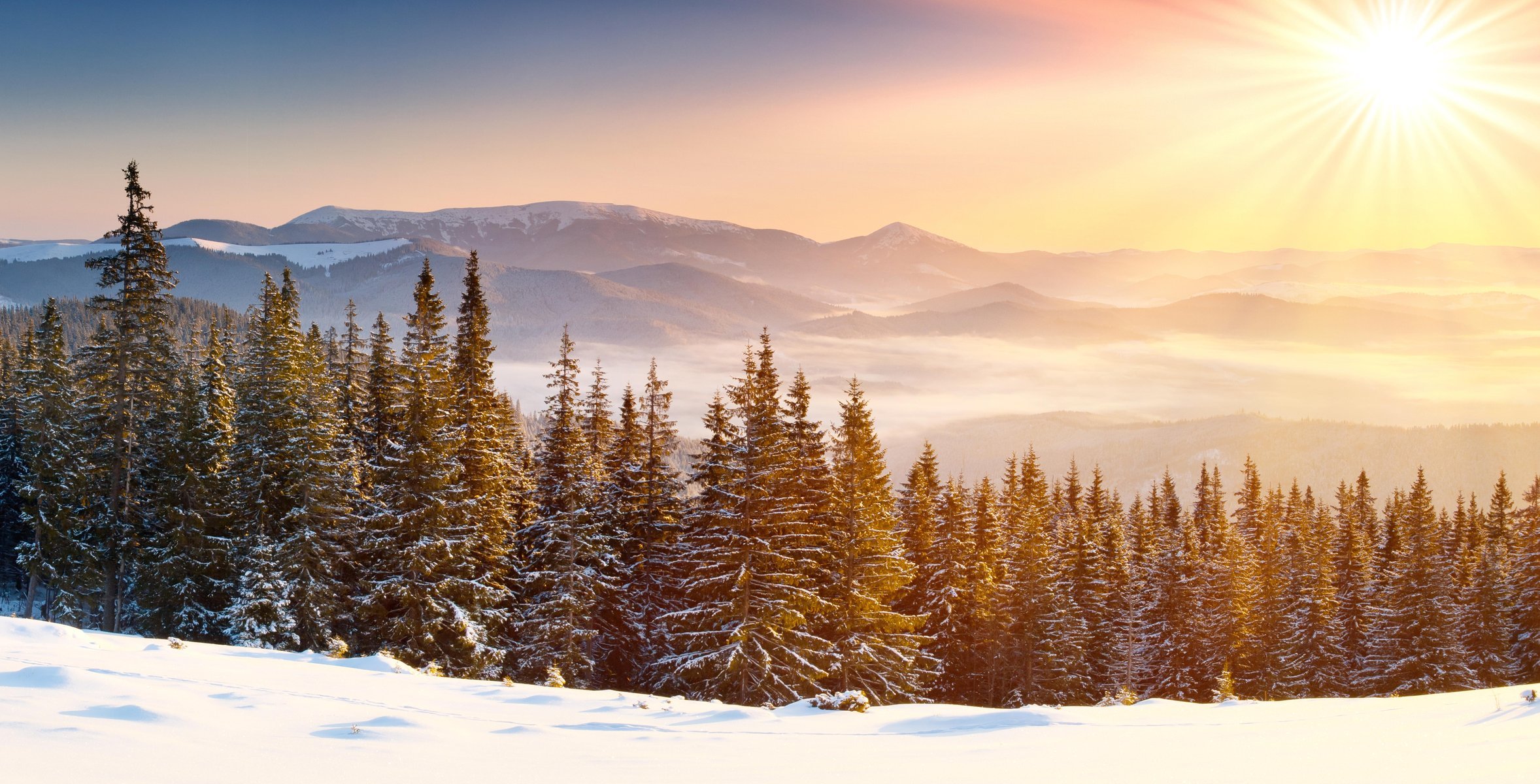 nature paysage neige hiver montagnes ciel nuages arbres