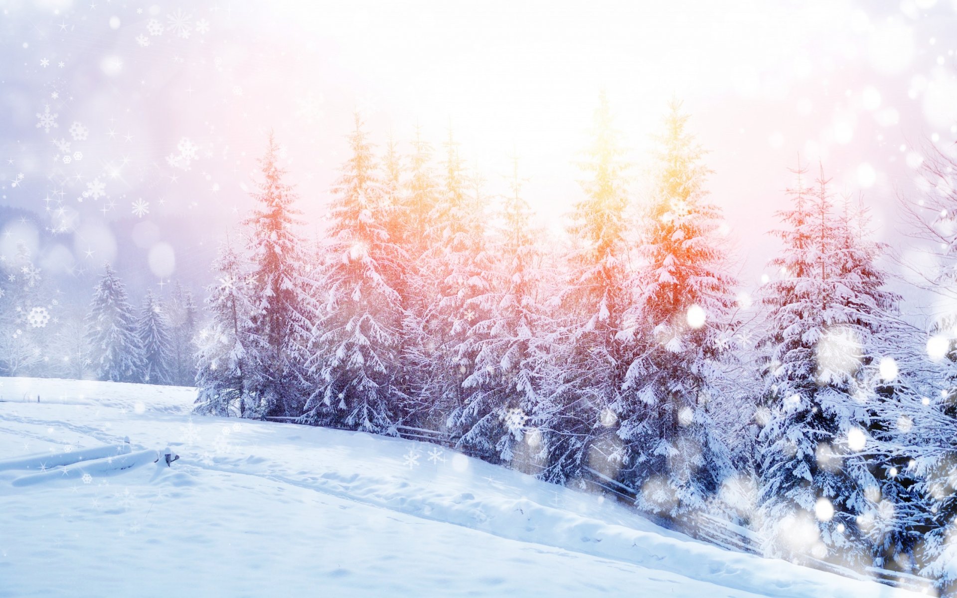 natur landschaft bäume winter schnee berge