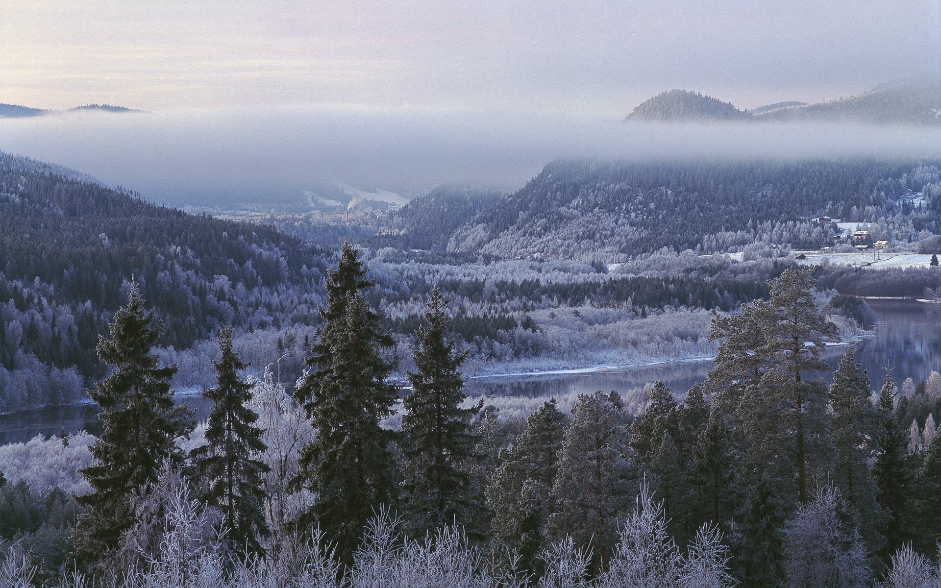 lian jämtland svezia inverno foresta alberi montagne