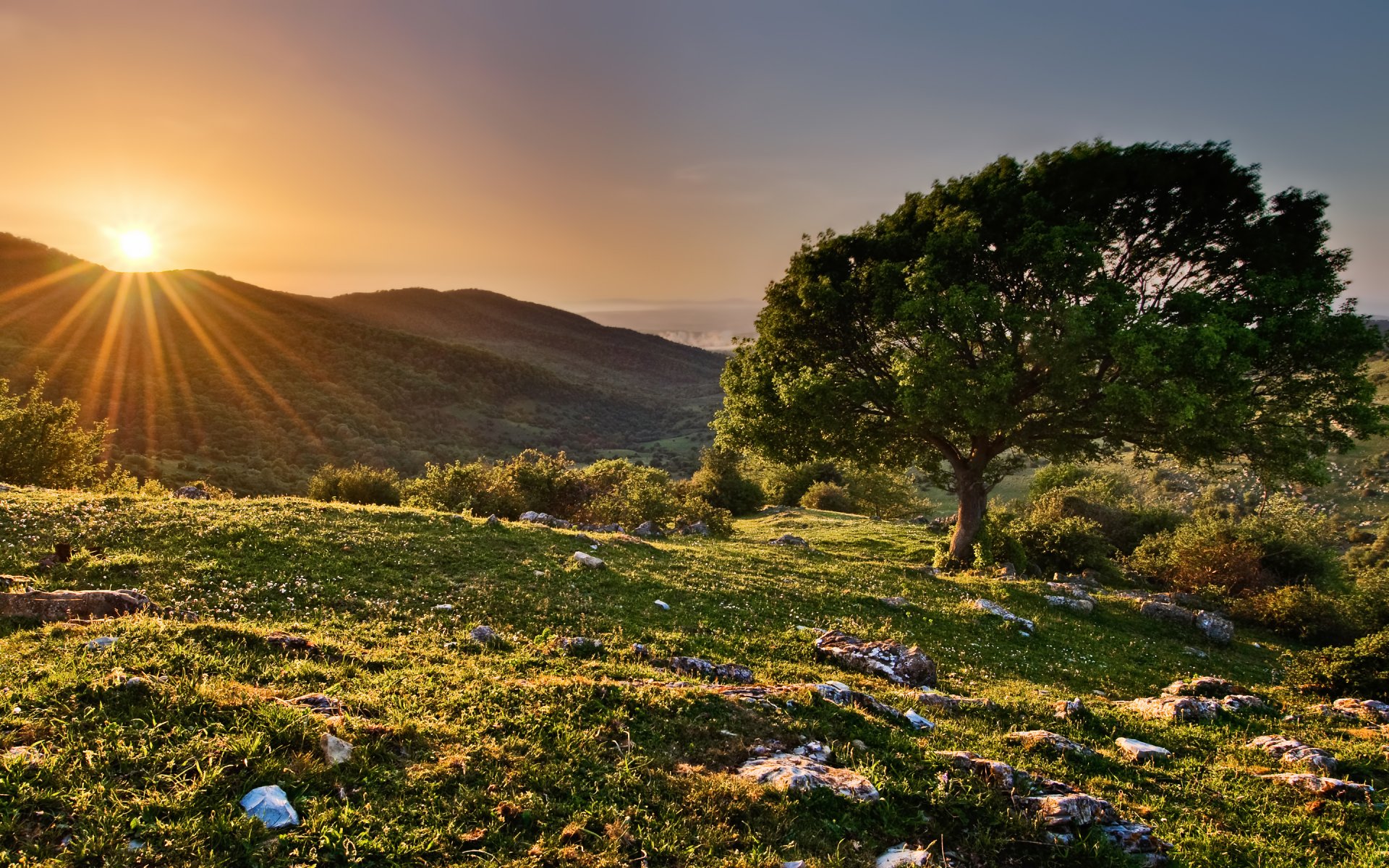 hügel baum sonnenuntergang sonne strahlen frühling naturschutzgebiet italien