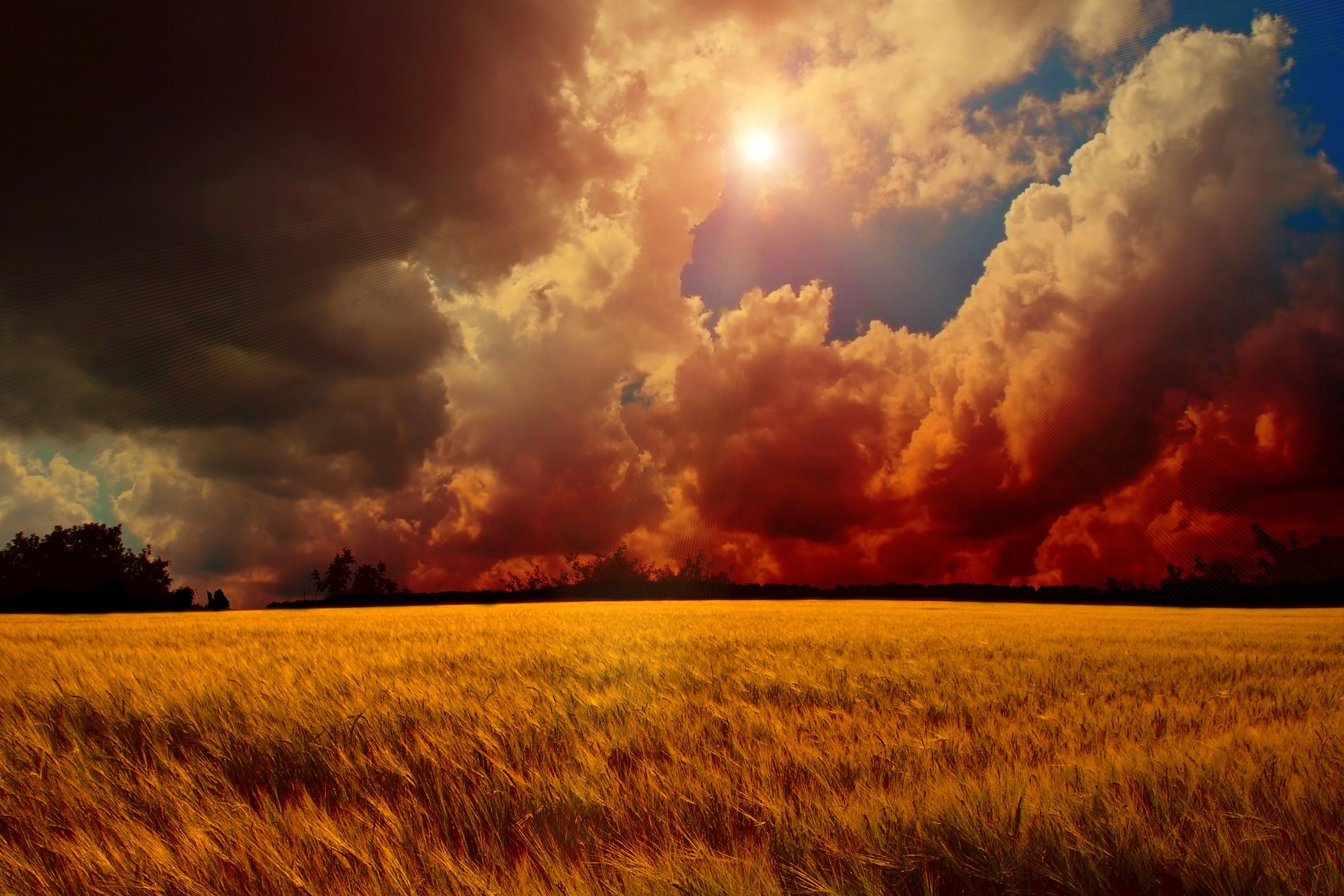 tramonto cielo nuvole sole alberi campo grano