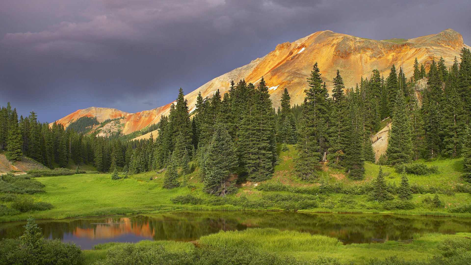 berge bäume tannen wald natur