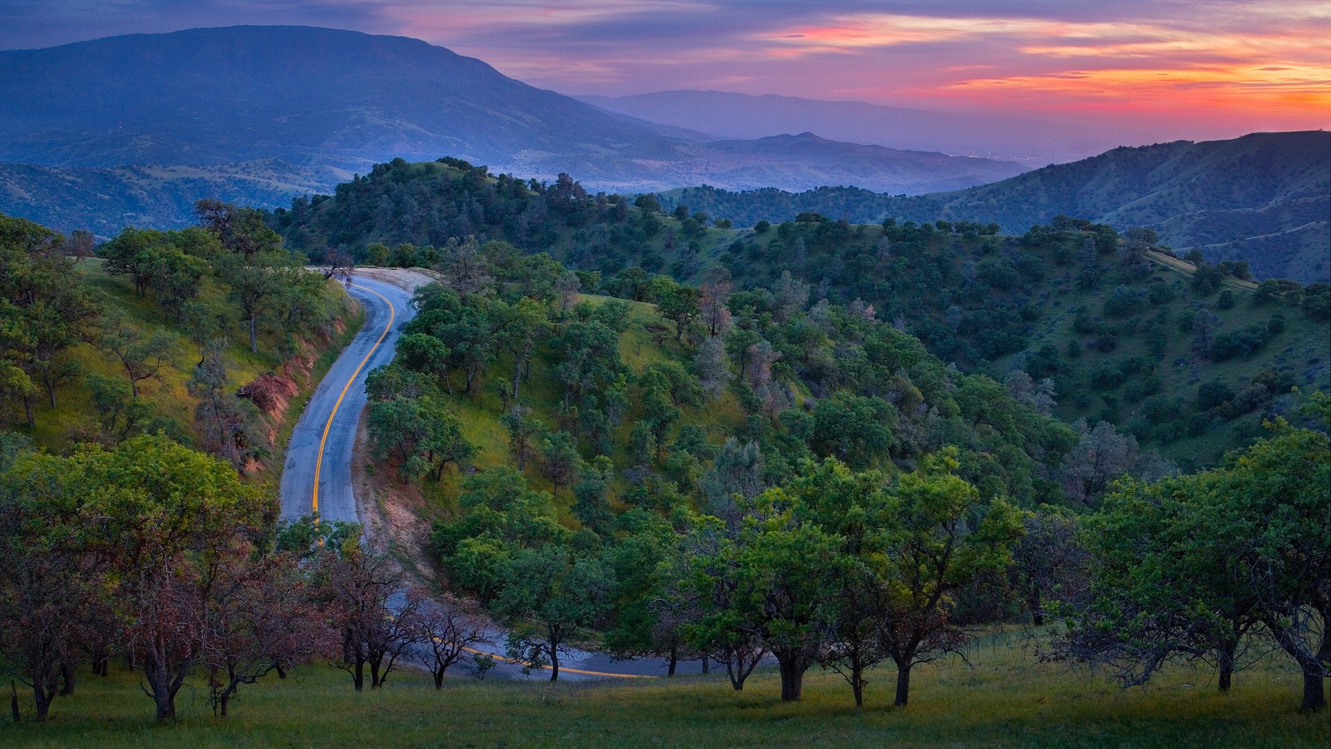 montañas bosque árboles camino puesta de sol naturaleza