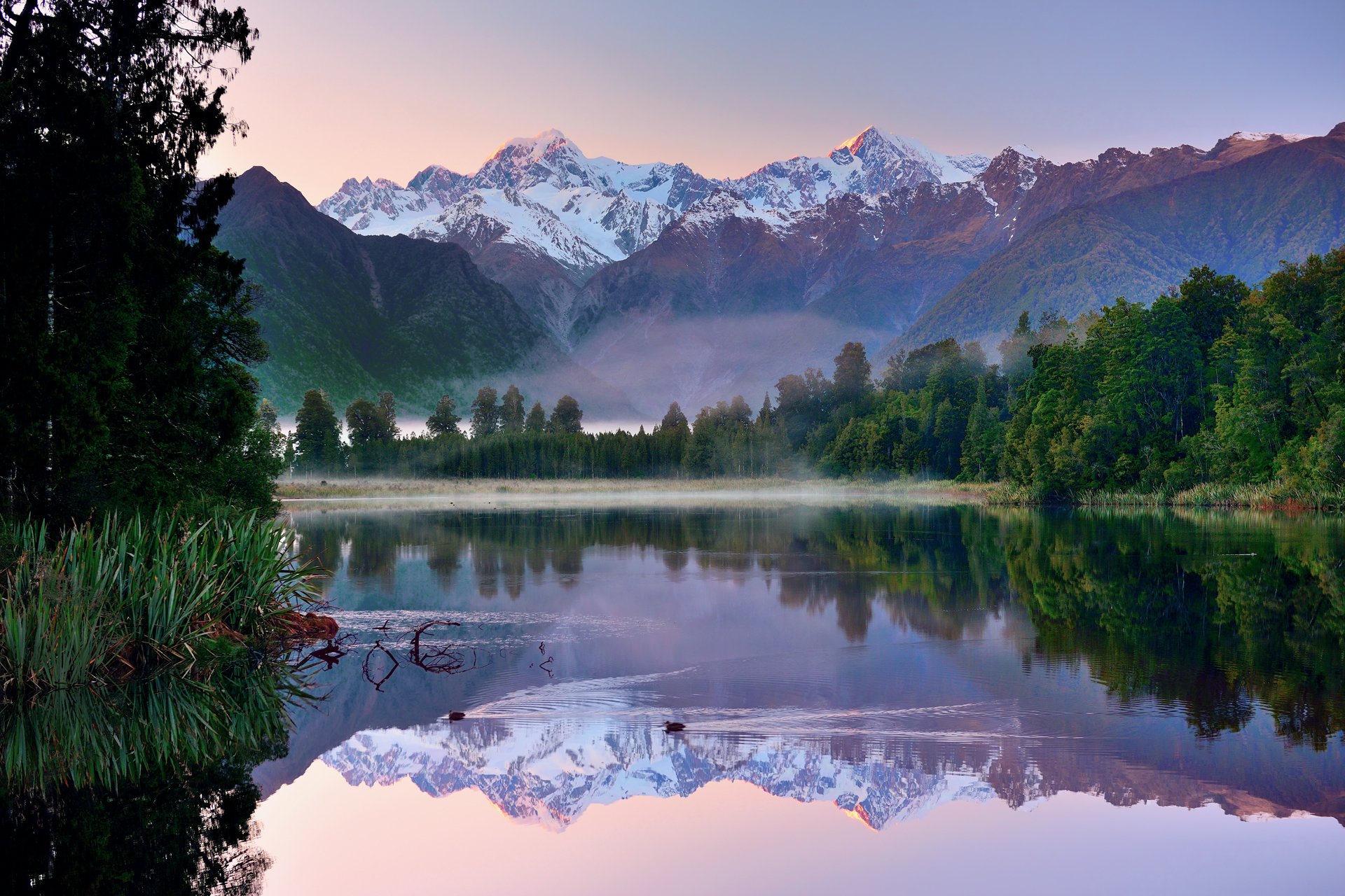 new zealand mountain sky lake forest reflection duck