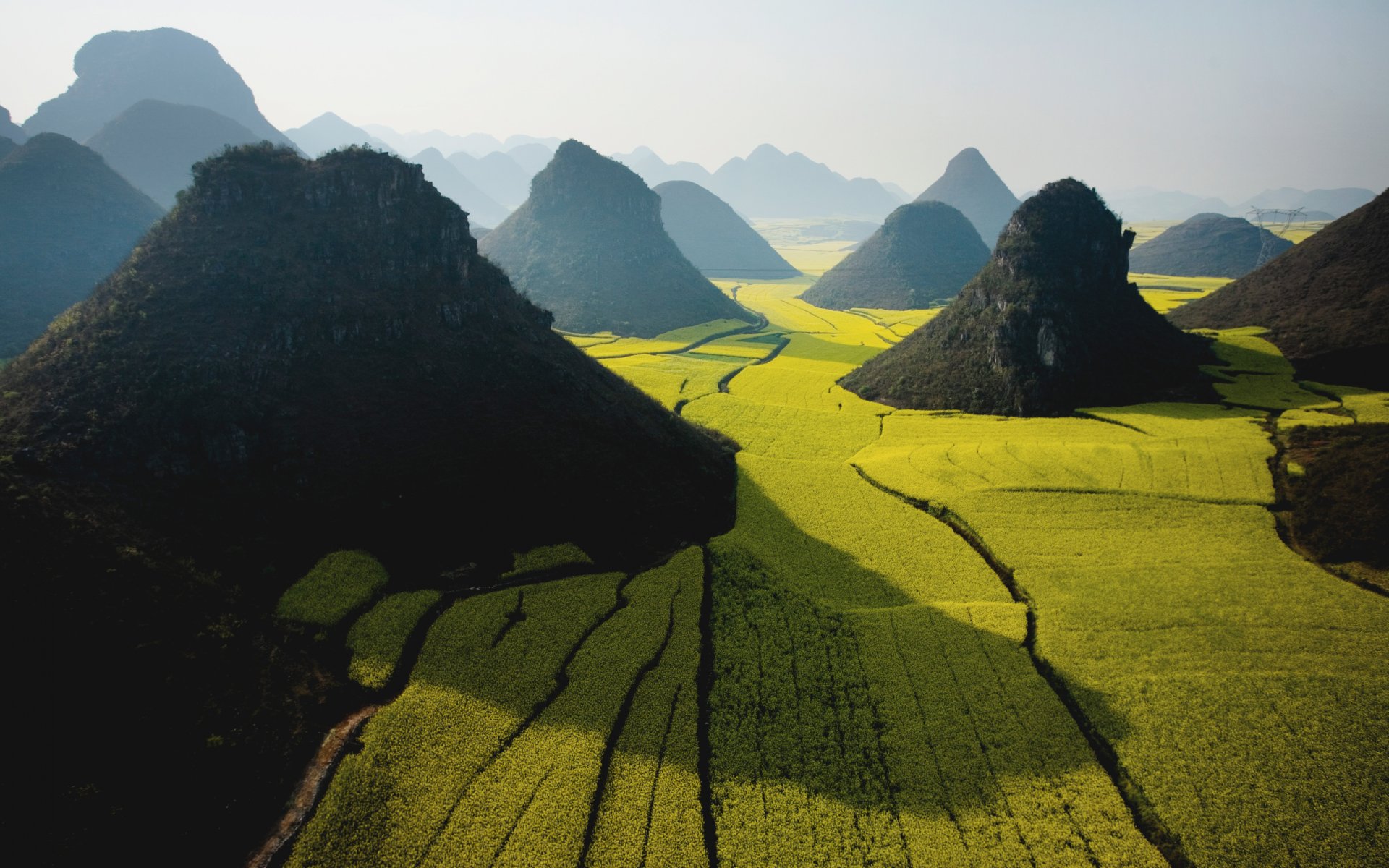 grün feld breit apfel berg himmel